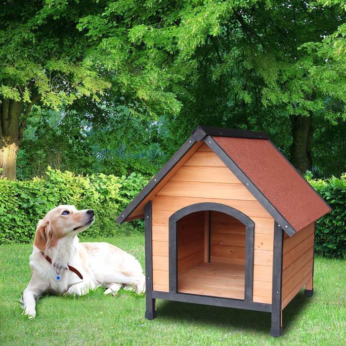 Dog house design outdoor