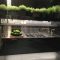 Greenery Decor for Kitchen A Fresh Approach