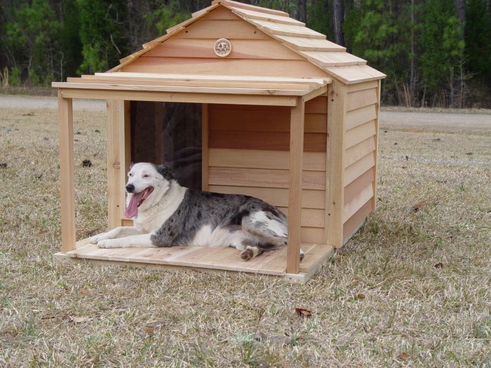 Dog house design outdoor