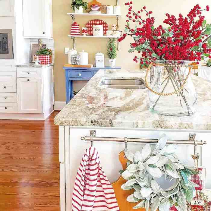 Kitchen decor ideas in red