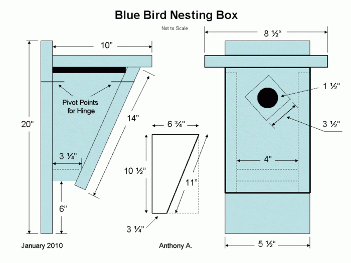 Best bluebird house design