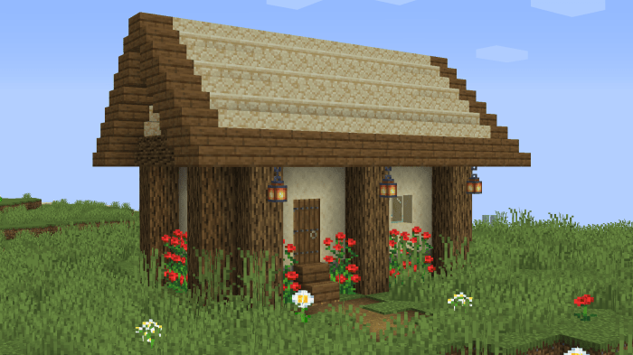 Minecraft basic house design