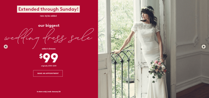 Wedding dresses david's bridal sale