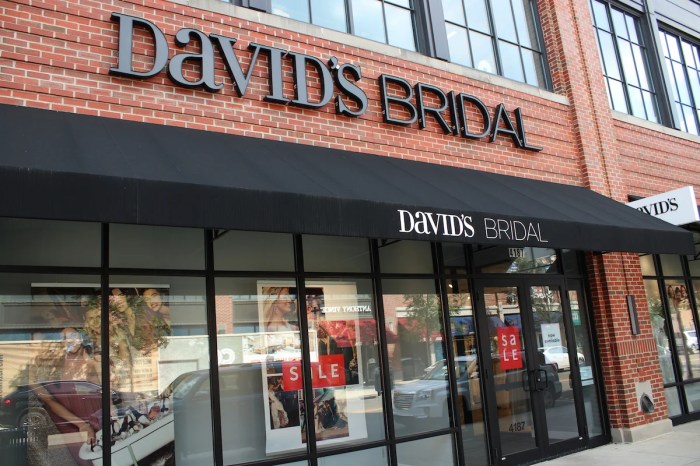 David's bridal near me wedding dresses